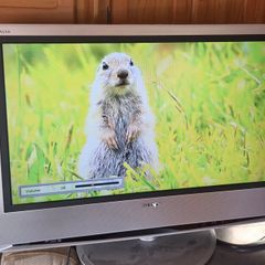Samsung tv