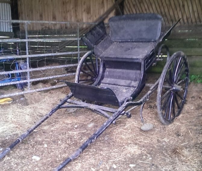 pony trap
