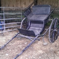 pony trap
