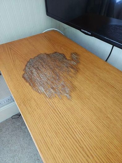 Solid Wood TV Media Cabinet with CD Storage