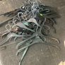 Clothes Hangers Image 3