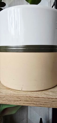 money tree pot included