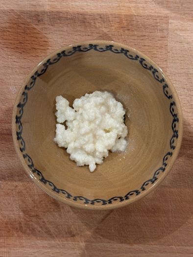 Organic milk kefir grains