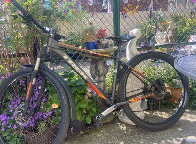 bike