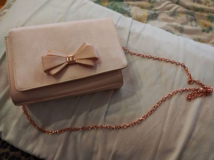 Ted Baker bag