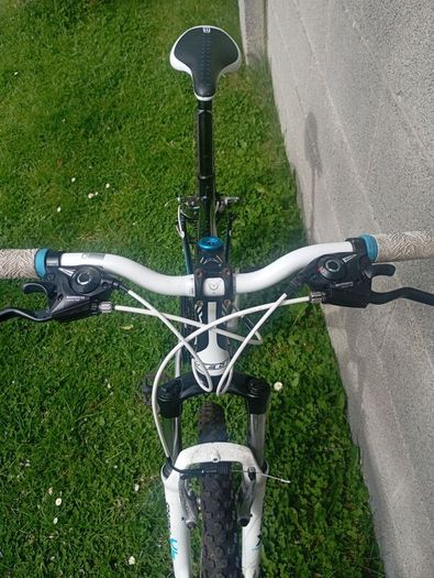Ladies Felt bicycle MTB