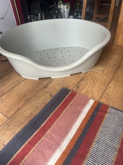 dog plastic bed