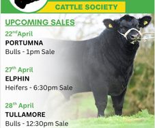 Irish Angus Cattle Society upcoming sales