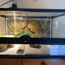 vivarium Image 5