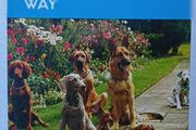 Dog Training My Way