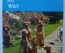 Dog Training My Way