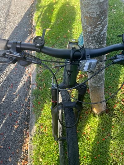 giant roam bike