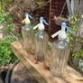 Antique Glass Bottle Soda Syphon Image 5
