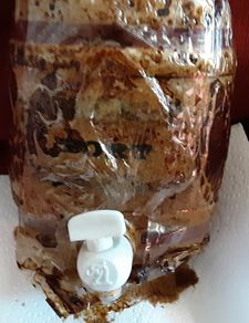 vintage wade drink container port