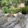 Faux plants Image 3