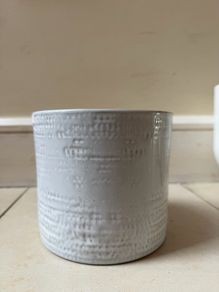 plant pot
