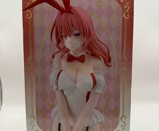 New Amagami Family's Matchmaking Figure: Amagami Yuna Bunny Version