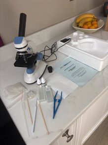 Apex Learner Microscope