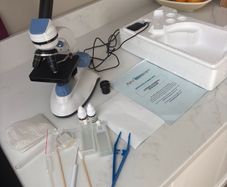 Apex Learner Microscope