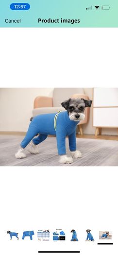 Bear Small Dogs Winter Clothes,Dog Winter Warm Coat Soft Fleece with Reflective Zip Dog Onesie Jumpsuit, Puppy Pet Pajamas Costume Apparel (Blue, L)
