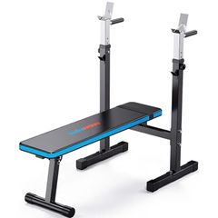 Adjustable Weight Bench with Dip Station Folding Heavy Duty Weight Lifting Bench Home Training Gym Multiuse Workout Bench