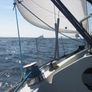 Kingscruiser 33 Yacht deposit paid. Image 10