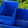 Mop bucket Image 6