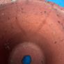 Vintage terracotta flower pot Image 7