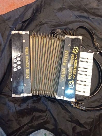 Vintage Italian Accordian