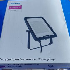 Philips LED Floodlight