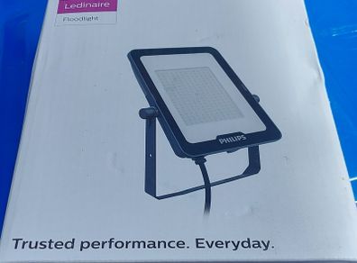 Philips LED Floodlight