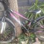 Girl bike Image 2