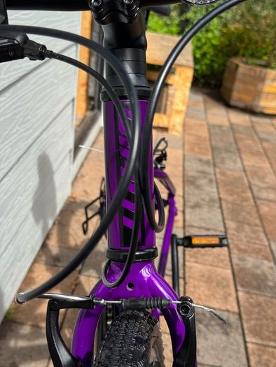 Giant ARX 24" Junior Bike - Purple
