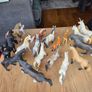 20 Schleich Horses Image 4