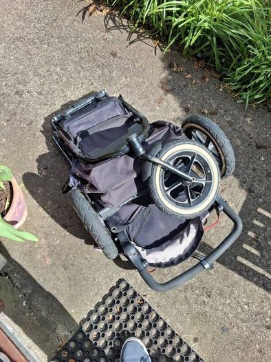 Phil and Ted's Sports buggy