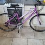 ladies bike Image 4