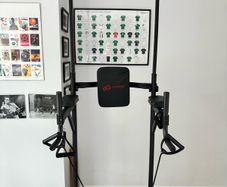 Power Tower Dip Station