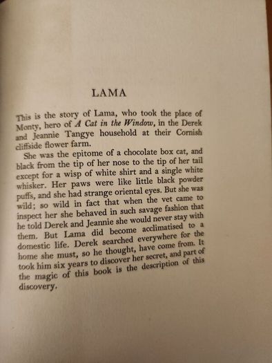 Lama  Derek Taynge. 1966 First Edition Hardback With Dustjacket 37.