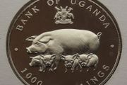 1995 Year of the Pig | Rare Proof 1000 Shillings coin in China stamp cover