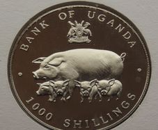 1995 Year of the Pig | Rare Proof 1000 Shillings coin in China stamp cover