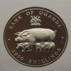 1995 Year of the Pig | Rare Proof 1000 Shillings coin in China stamp cover