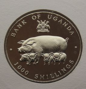 1995 Year of the Pig | Rare Proof 1000 Shillings coin in China stamp cover