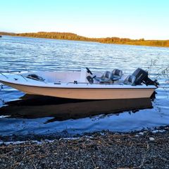 fishing boat with trailer and 50 hp engine