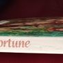William Trevor/ Fools of Fortune/ 1st ,USA,Penguin/ 1984 Image 7