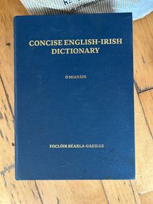 Focloir Gaeilge Bearla Irish Dictionary
