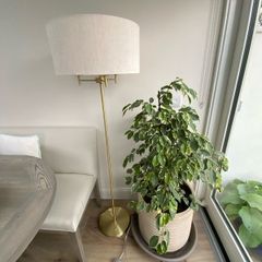 Standard floor lamp