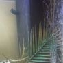 Fish tank Image 3
