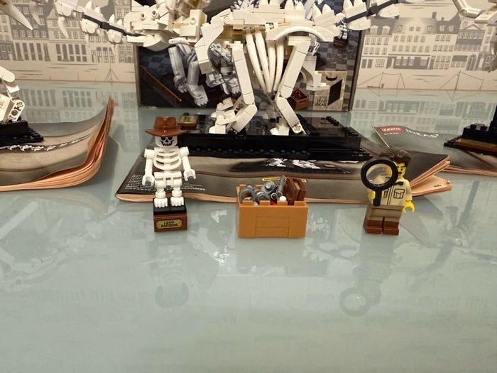 Lego 21320 Dinosaur Fossile