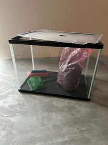 fish tank