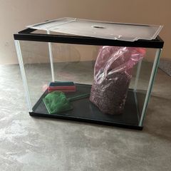 fish tank